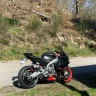 wolfi43