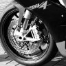 Kater81