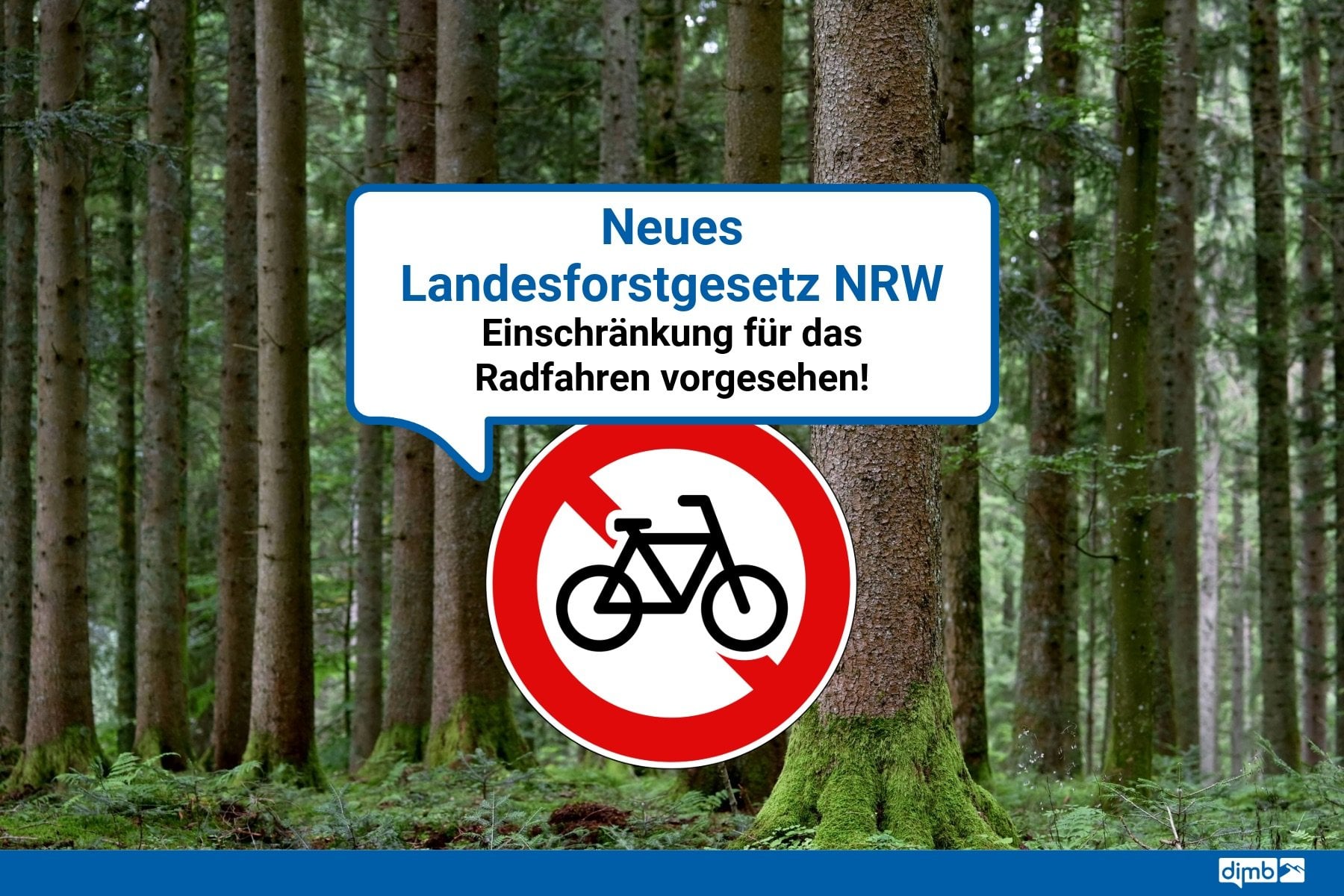www.mtb-news.de