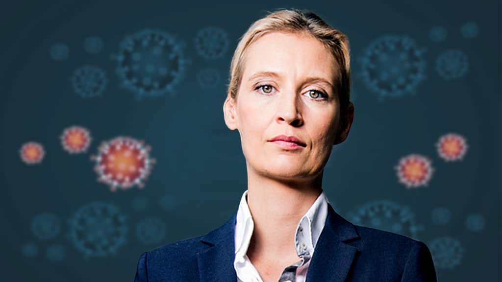 www.afd.de
